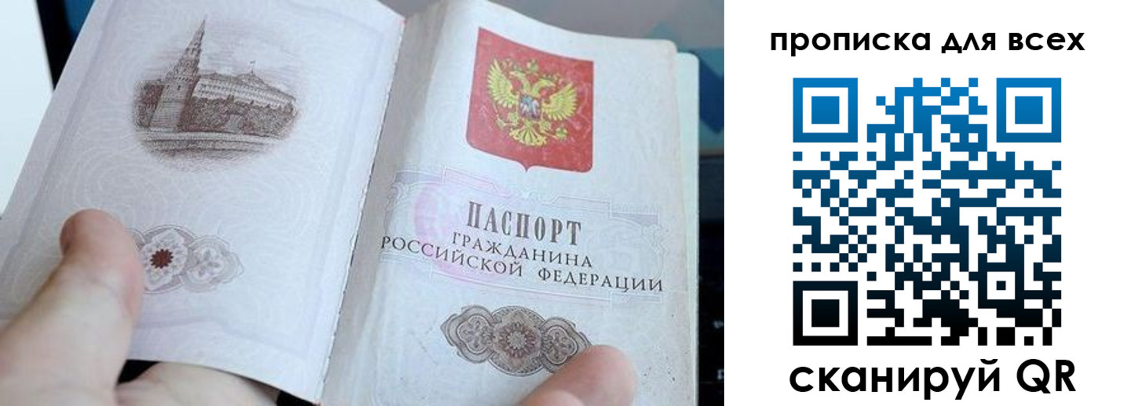 прописка гарантия в Тимашёвске